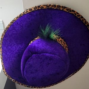 Purple velvet brim hat